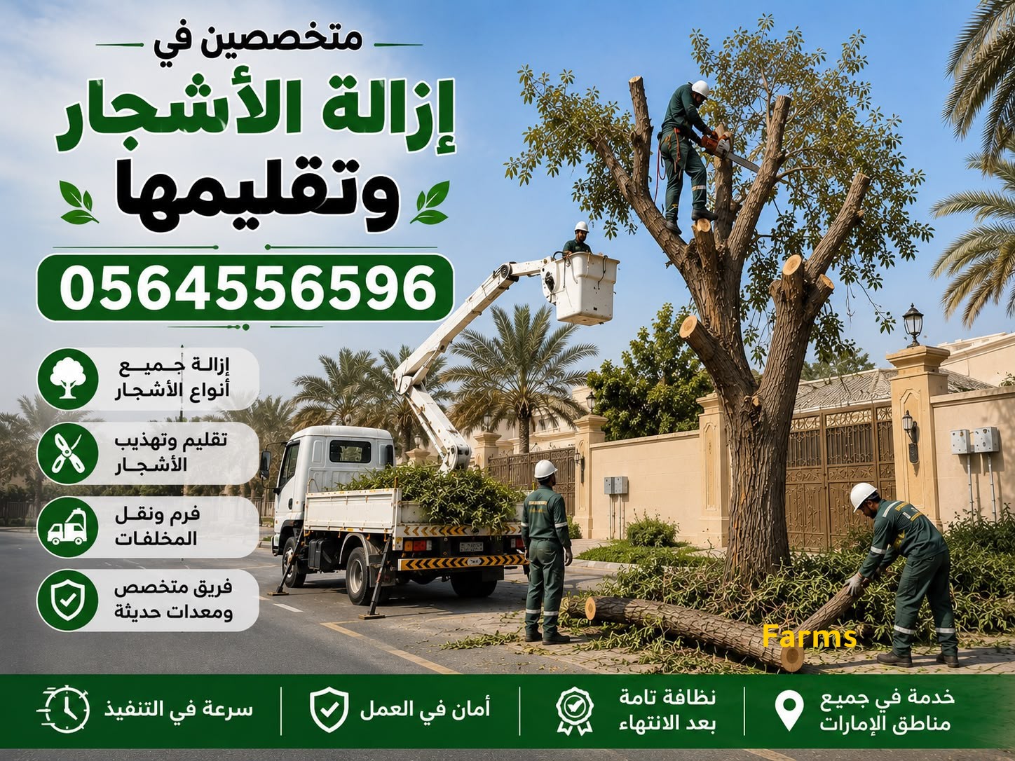 شركة قطع اشجار دبي